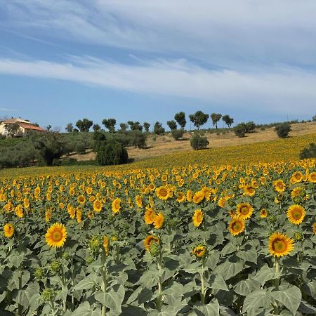Girasole San Marcello (Ancona) Exterior foto