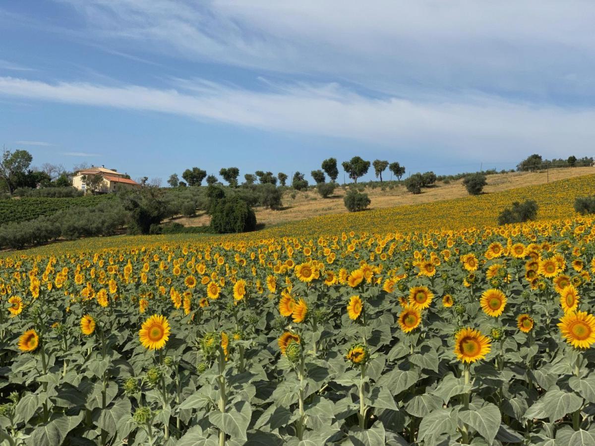 Girasole San Marcello (Ancona) Exterior foto